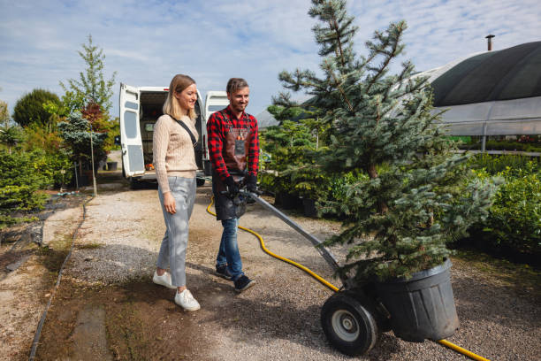 How Our Tree Care Process Works  in  Bristol, WI